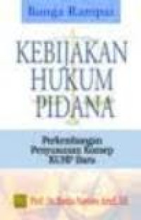 Bunga rampai kebijakan hukum pidana: perkembangan penyusunan konsep KUHP baru