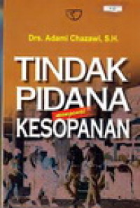 Tindak pidana mengenai kesopanan