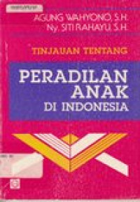 Tinjauan tentang peradilan anak di Indonesia