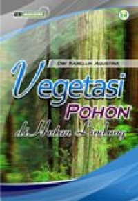 Vegetasi pohon di hutan lindung