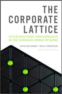 The coporate lattice: achieving high performance in the changing world of work