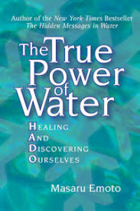 The True Power of Water : Healing , And , Discovering , Ourselves